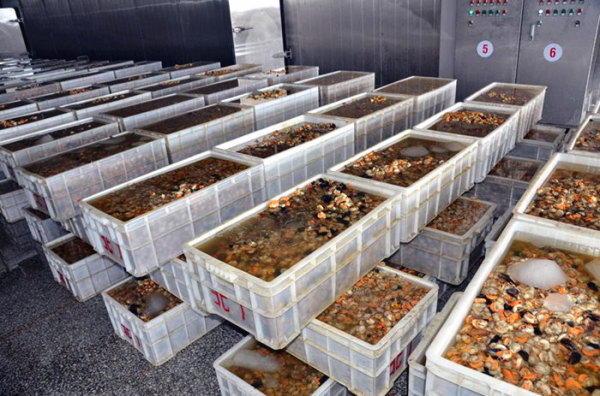 扇贝加工的产业布局与国际贸易 以大连长海县和绥芬河保税区为例