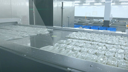 海产品加工 从海洋到餐桌，主图素材的艺术与科学