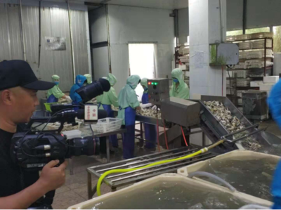 科技赋能，海味飘香——探访广东省水产创新试点专业镇潮州饶平汫洲镇