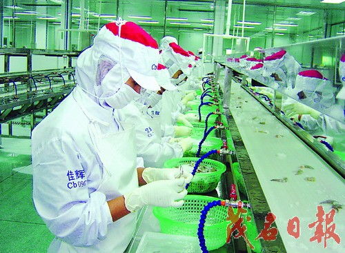 工业立县 建设粤西经济强县 海产品加工产业的战略引擎