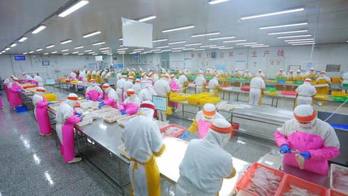 好品山东穿越疫情 中国最大海产品加工外贸企业的“九条命”销售之道