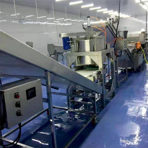 海产品气泡翻滚式清洗机厂家多重优惠，品质保障，长期有效