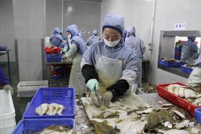 俄罗斯原料主导未来？珲春海产加工业迎来新动力