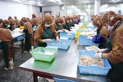 防城港市边贸转型升级步入快车道 海产品加工成为新引擎