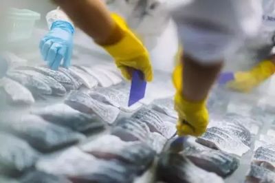 熟冻海鲜不如新鲜的好？真正顶级的鲜味，选对保藏方式才是王道