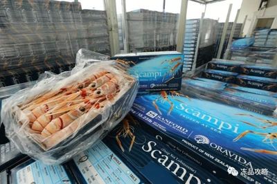 桑福德剑指利润倍增，中国市场能否成为关键增长引擎？